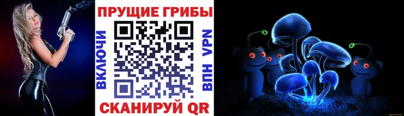 Купить  Минусинск  Галлюциногенные грибы Psilocybine cubensis 